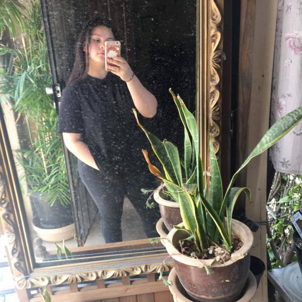 Meet your Posher, Lupita